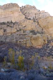 Fall color and cliffs [thu nov 23 14:25:16 pst 2017]